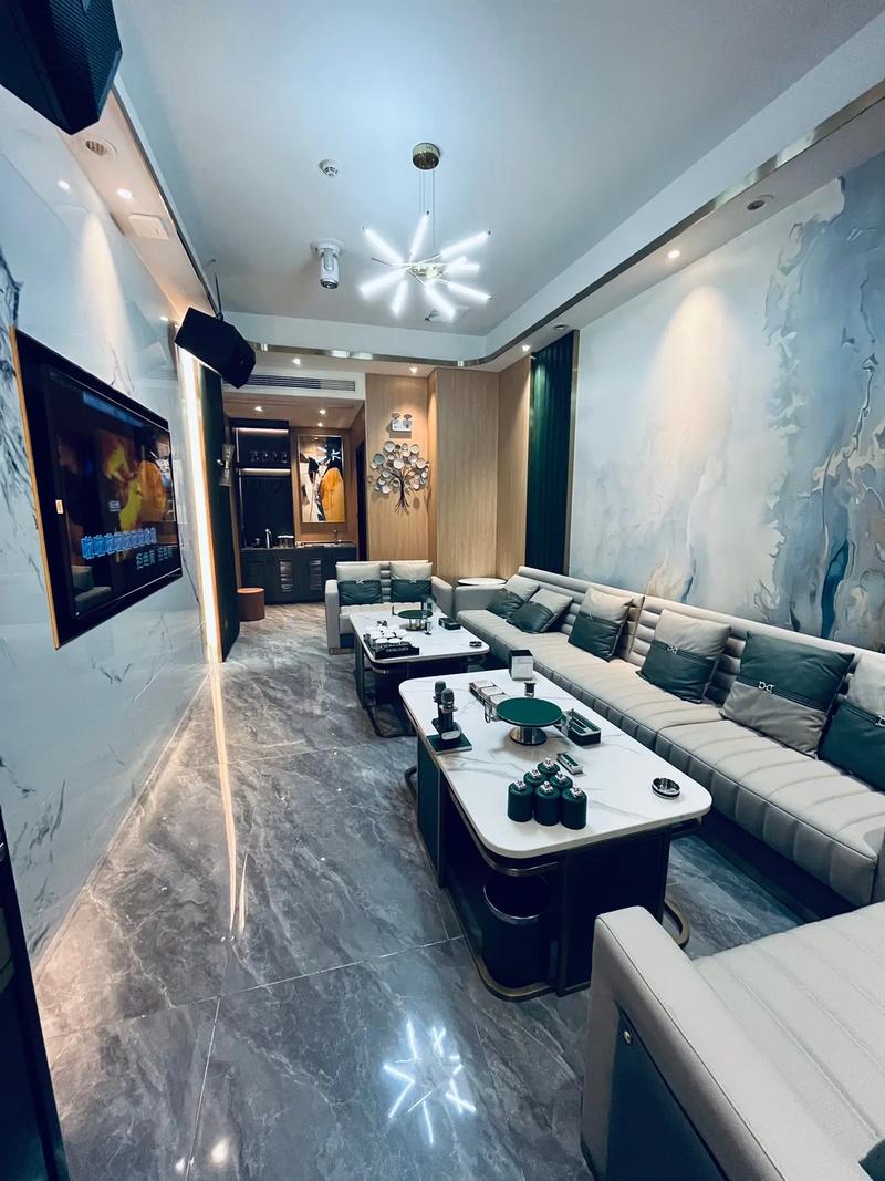 镇江商务ktv及商务ktv啥意思解析-丹阳市ktv预定